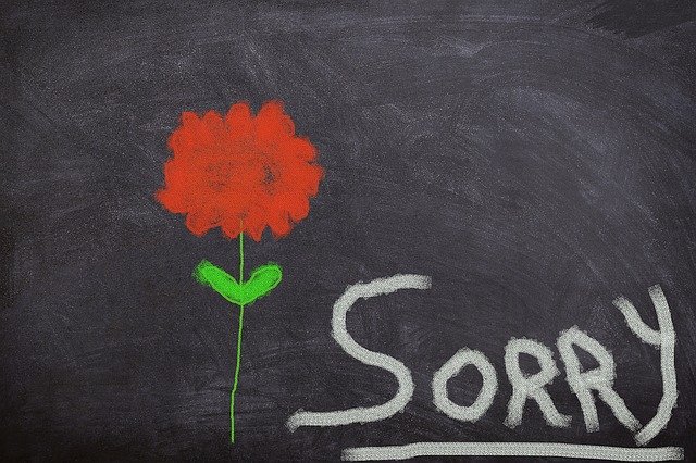Image of sign that says sorry next to a flower on article on british traditions and customs